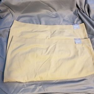 NWT 2 pairs Avenue brief 26/28